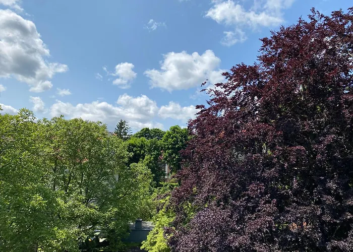 公寓 Spirit Z Sauna 索波特