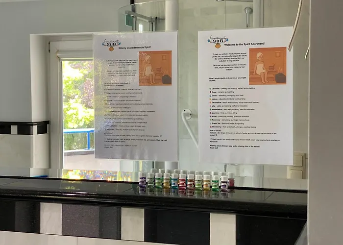 Spirit Z Sauna 公寓 索波特